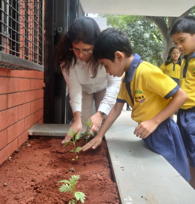 ncert curriculum