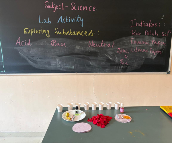 lab-activity-exploring-substance-3